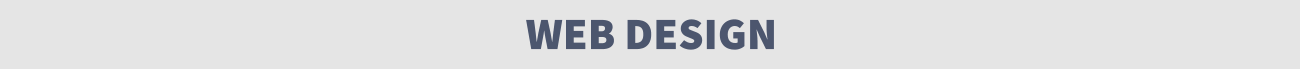WEB DESIGN